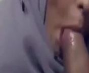 Hijabi eating a monster cock from hijabi blowjob