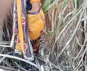 New best indian desi Village outdoor bhabhi dogy style from katrina kaif dogy style sex pic