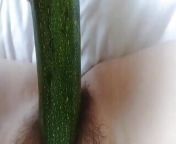 Egyptian girl putting cucumber in hot pussy from sexy egyptian girl fucked mi