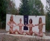 The Vixens of Kung Fu - A Tale of Yin Yang (1975) from skunk fu funny face