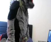 murrsuit pawing from murrsuit