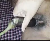 Desi indian aunty hairy pussy fingring alone at home from aunty hairy puzy