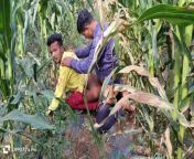 Indian Desi Movies - A laborer working in a corn field fucked his partner's ass - Hindi Voice from indian desi old man gay sex video