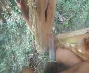 Nature Sex .. Sex with Banana tree .. PART 1 from fuckong womenss nayanthara sex bear xxxx video