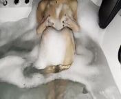 Horny I masturbate in the jacuzzi from i am in the mode of sex fuck me please