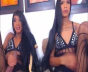 Twin Shemales With Perfect Asses And Cocks from twin shemales