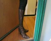 Gold Donald Pliner snake and leather Boots in leggings from cam4 leather gold