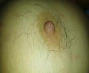 Sexy hairy armpits, hairy nipples and tits from hairy nipples