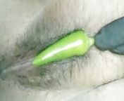 Pussy Fuck with chilli from tamil pussy fuck close up