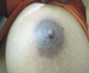 Indian Desi Bhabhi Show Her Boobs Ass and Pussy 20 from indian aunty hear pussy 20 min video
