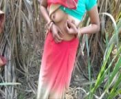 Desi village bhabhi outdoor fucking anal sex from desi village jungle sex videoian school gi
