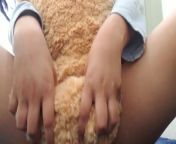 Humping teddy from tagdi