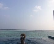 Favorite F4F Summit X in the Maldives 2018! Corona Got Me Posting Throwbacks! Banksie Files! from gigixhunter f4f