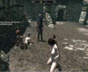 Redhead Lesbian Prostitute and Her Job All Over Skyrim | PC gameplay from dinglederper nud